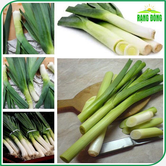 Hạt giống Tỏi Tây Trồng Quanh Năm, Kháng Bệnh Tốt - Hạt Giống Rạng Đông