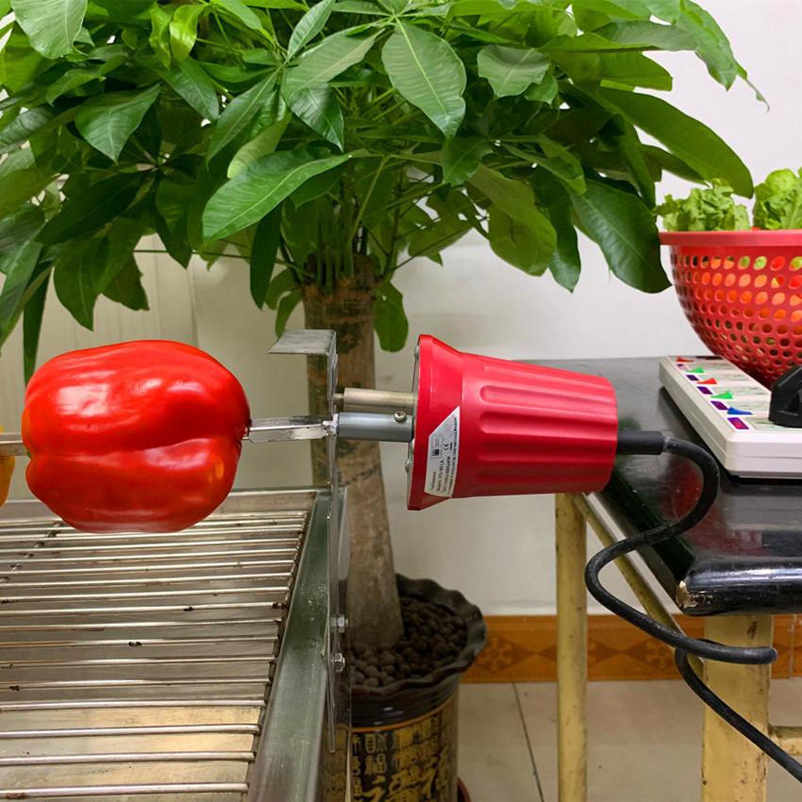 Barbecue Oven Motor 220-240V Oven Rotisserie Motor Camping BBQ Accessories