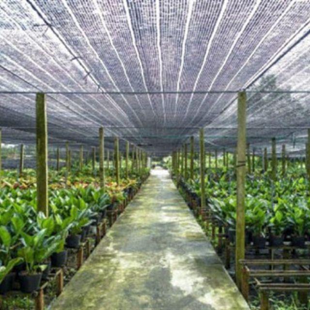 Lưới che lan màu xanh 70% nhập khẩu Thái Lan khổ 2m, độ dài 1m
