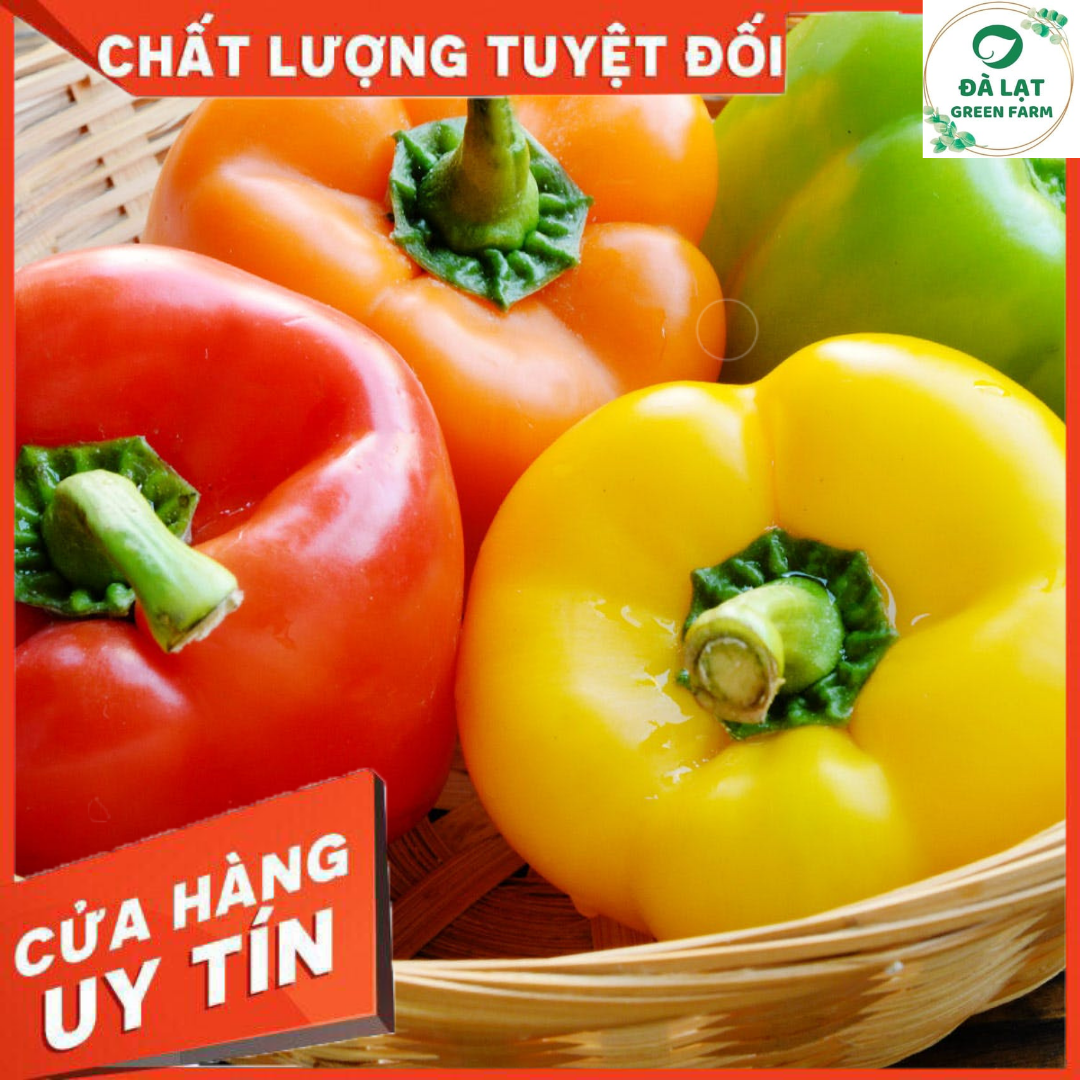 40h Hạt Giống Ớt Chuông Ngọt Mix Màu (A2.104| C1*W62)