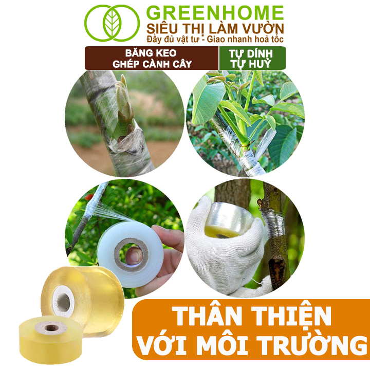 Keo Ghép Cành Greenhome, Dụng cụ làm vườn, Bảo Vệ Mối Ghép Nhanh Liền, Tự Dính, Tự Huỷ, Dễ Sử Dụng