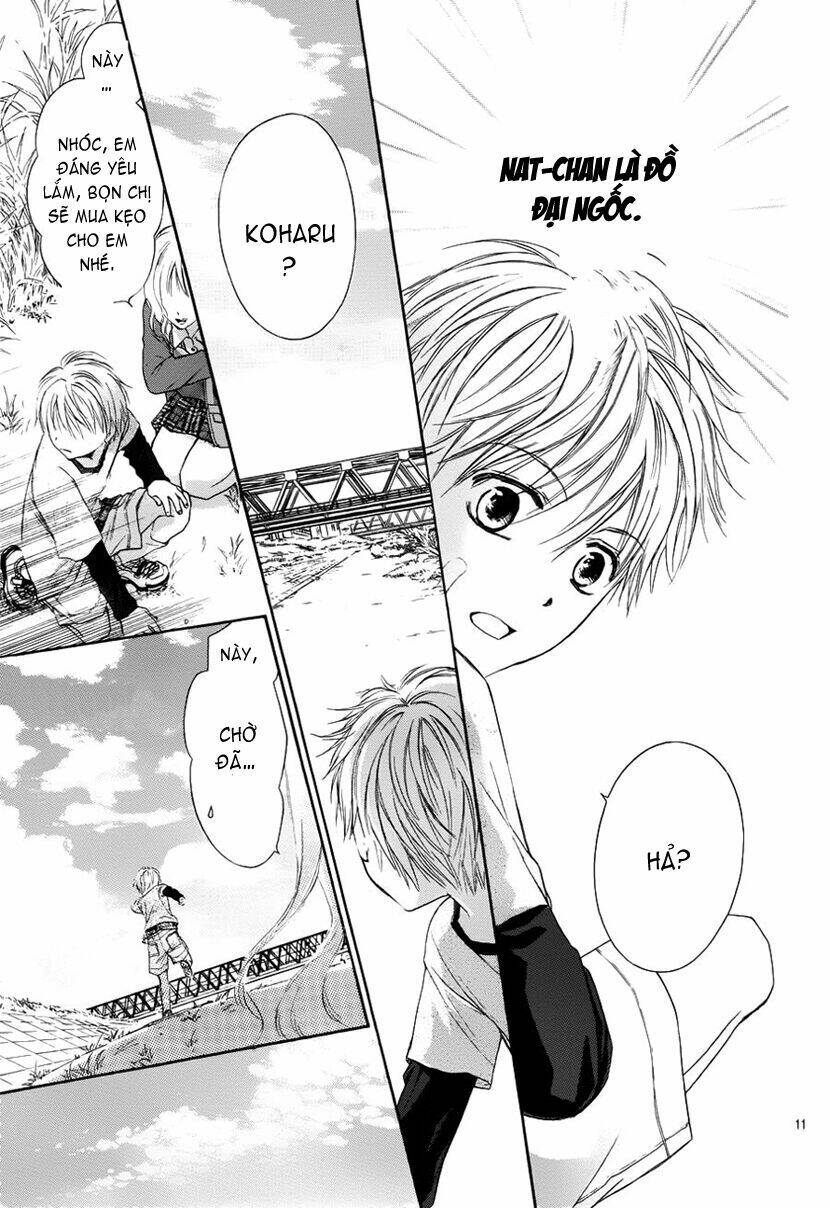 hachimitsu ni hatsukoi chapter 3.5 13