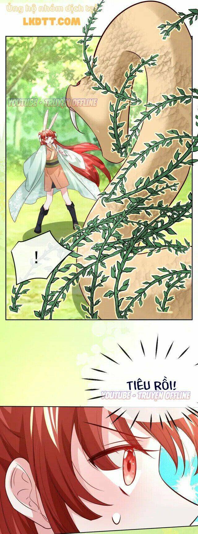 hắc hóa nam chính trực tuyến nuôi thỏ chapter 30 13