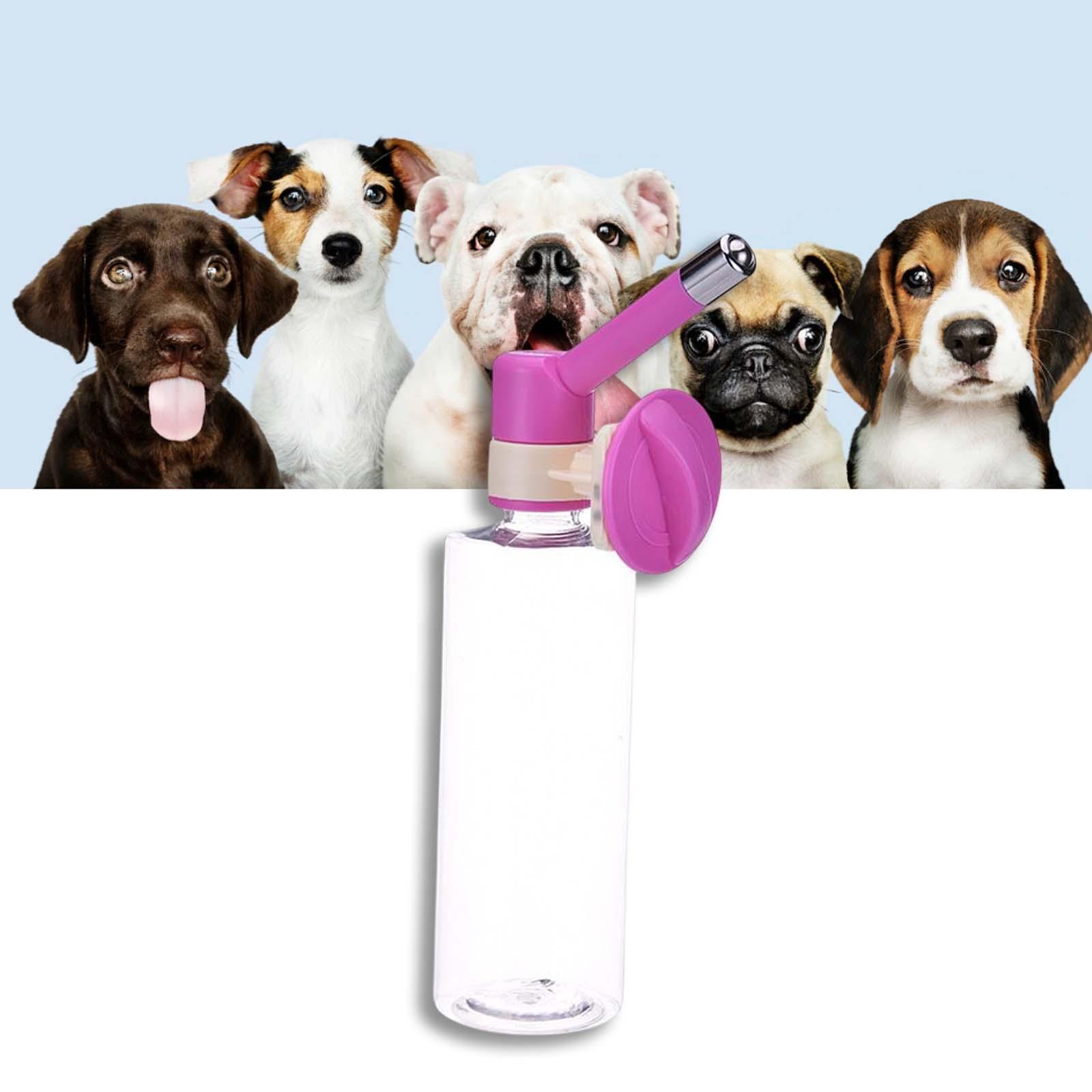 Cat Water Drinking Fountains Cage Dog Pink