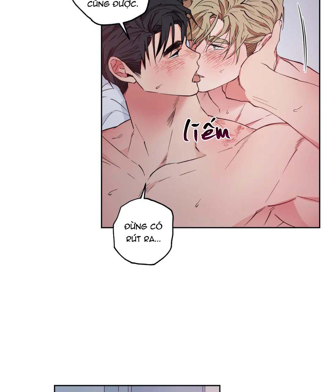 love plan chapter 11 66