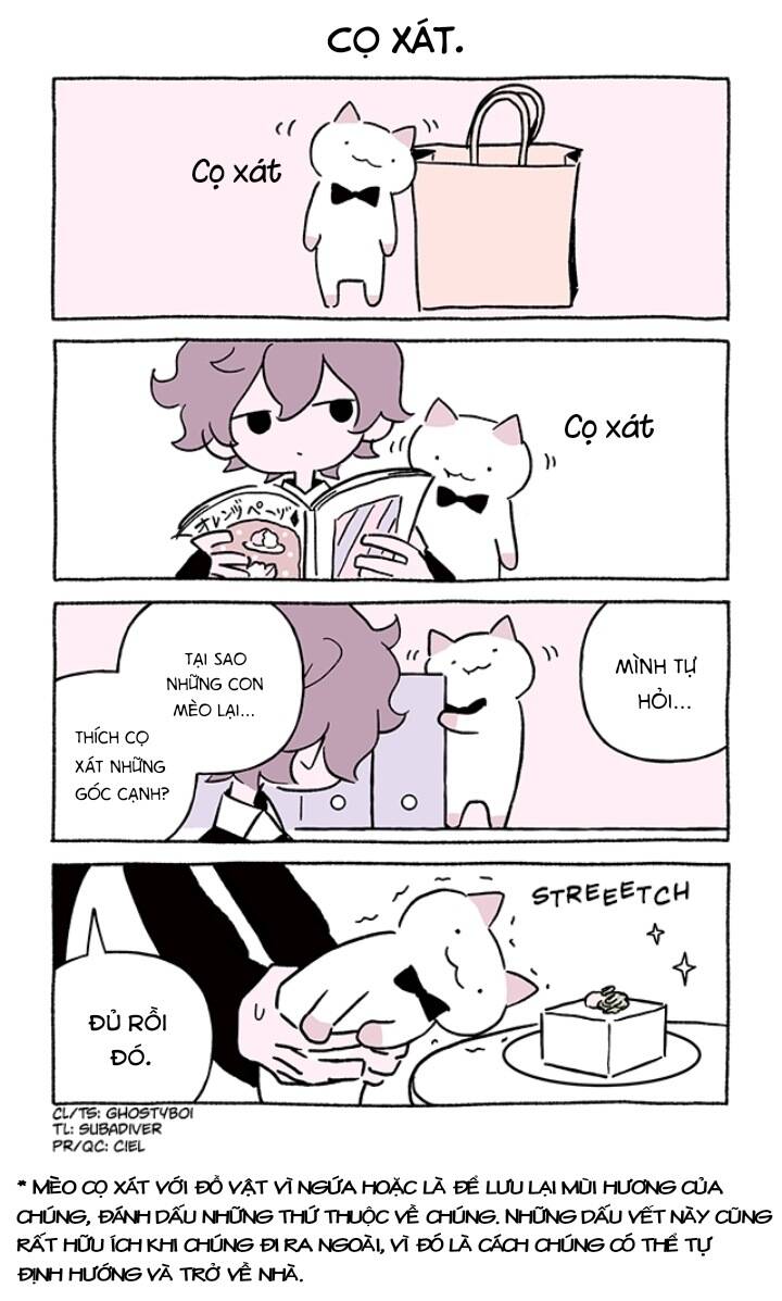 chú mèo kỳ diệu kyuu-chan chapter 770 3
