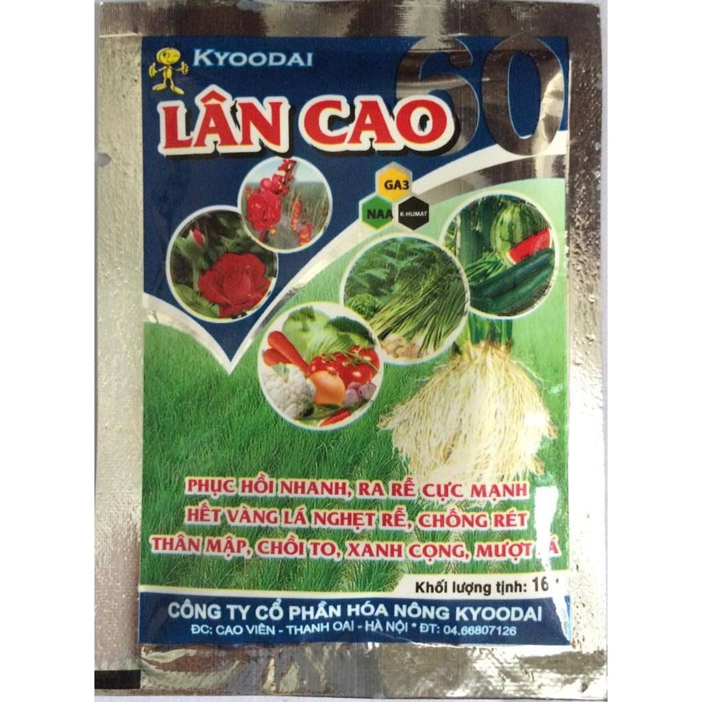 Phân bón Siêu Lân Cao dùng cho hoa hồng và tất cả các loại hoa, cây cảnh khác