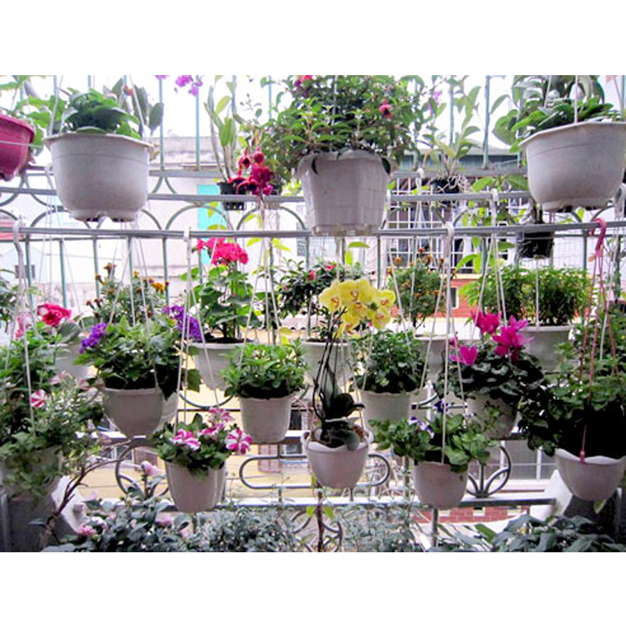 Chậu trồng cây viền lượn sóng chất liệu cao cấp - Hàng nội địa Nhật