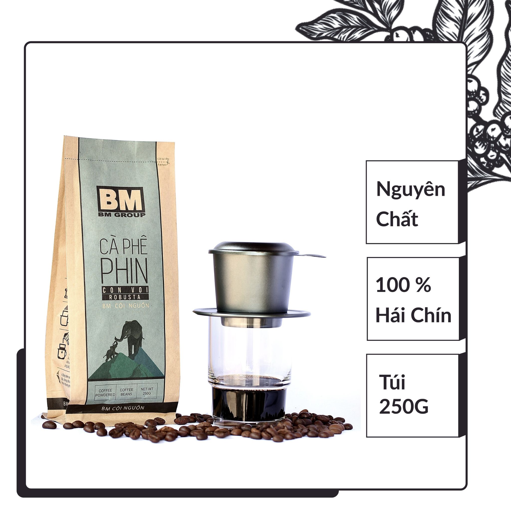 Cà Phê Bột [Gói 250g] Robusta - BM Cội Nguồn- Hái chín - Rang Mộc - Nguyên Chất - BM GROUP