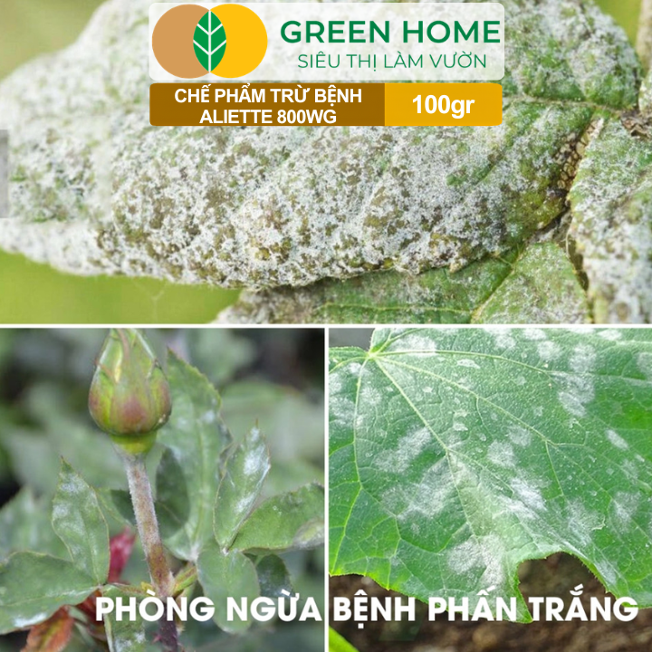 Chế Phẩm Trừ Bệnh Aliette 800WG GreenHome, Gói 100gr, Đặc Trị Thối Rễ, Lở Cổ Rễ, Xì Mủ Cho Cây Trồng