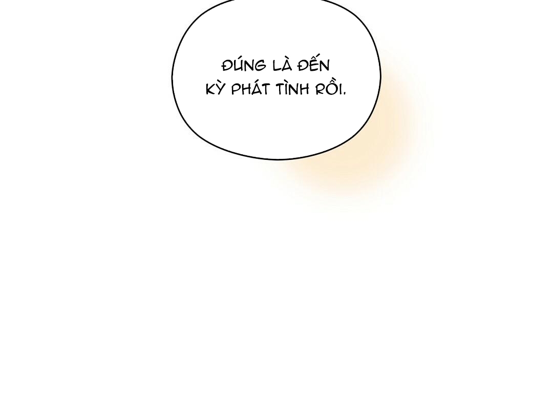 phức cảm tự ti của omega chapter 15 76