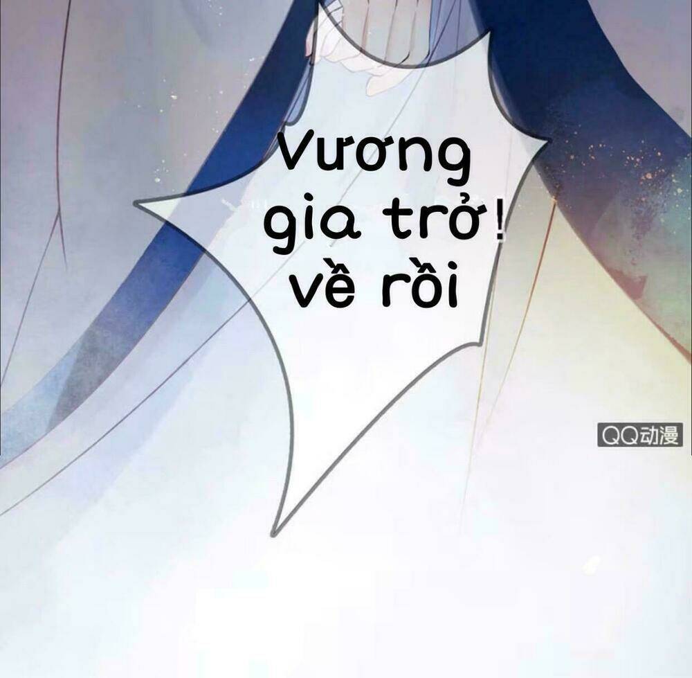 sủng phi của vương chapter 10 10