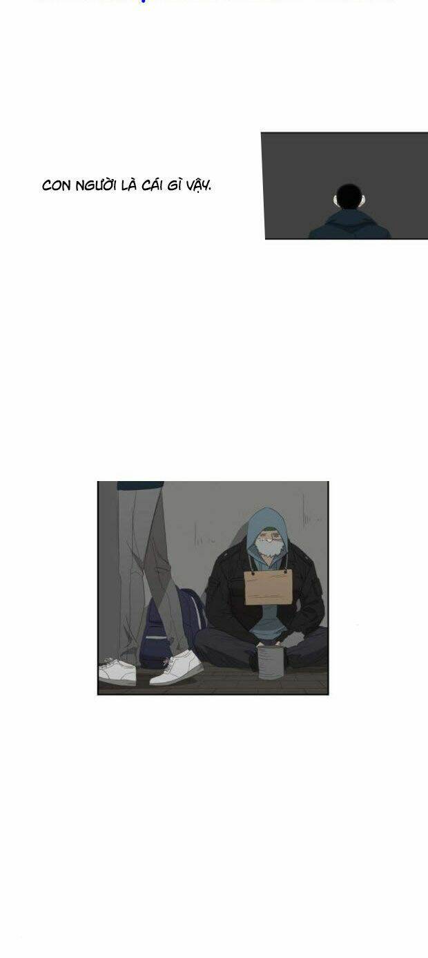 võ sĩ - the boxer chapter 69 17