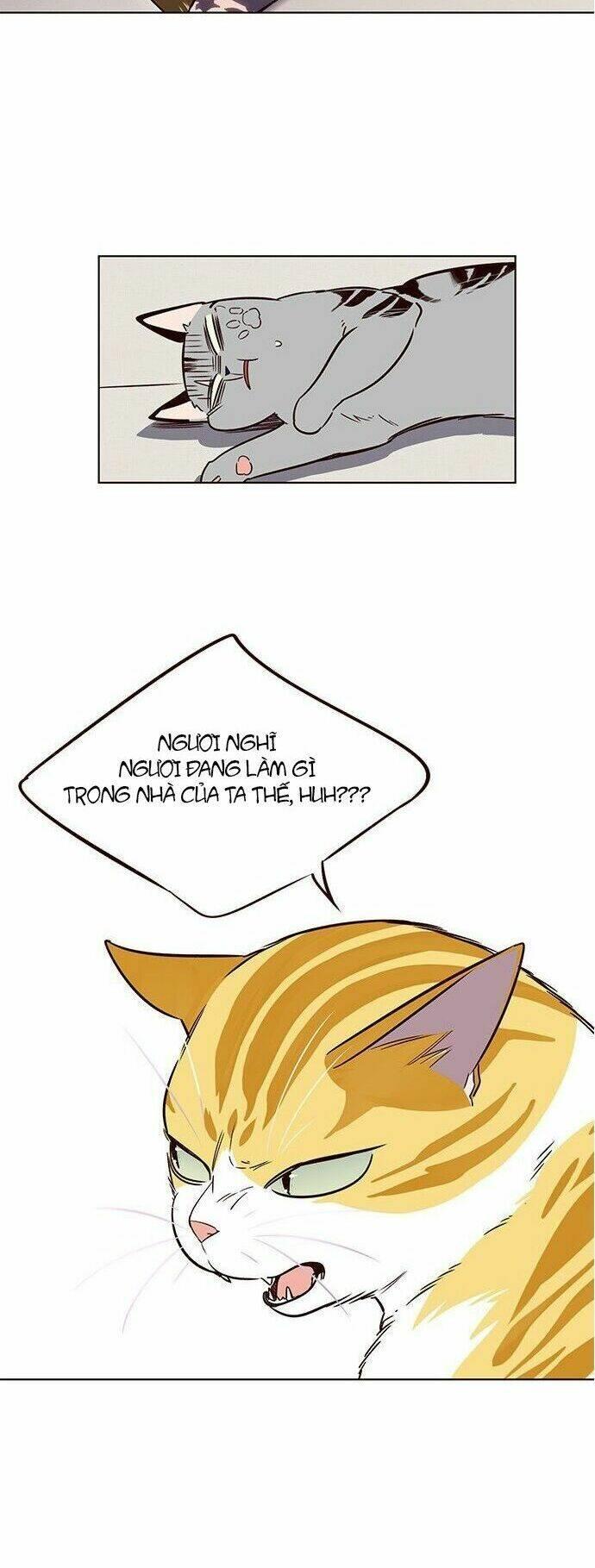 biến thân thành mèo chapter 7 45