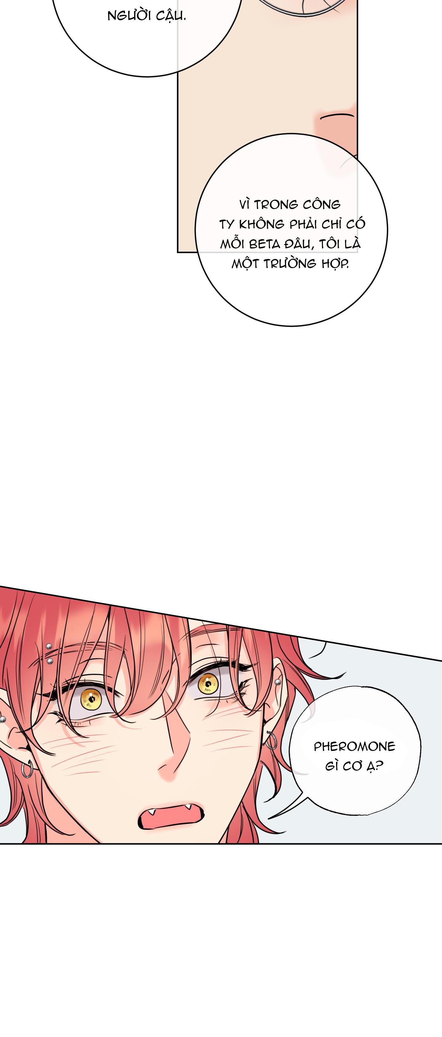 mật ong nhà làm chapter 17 38