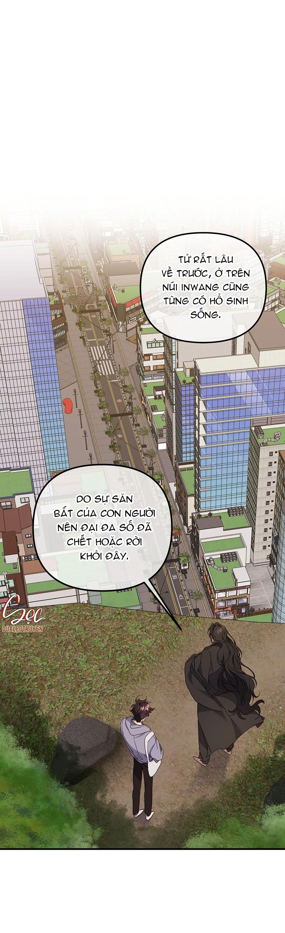 hổ trở về chapter 27 11