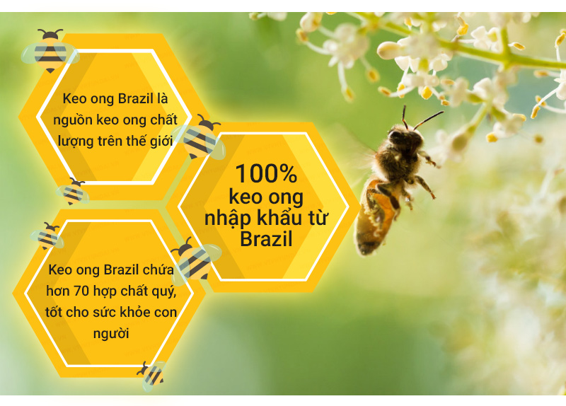 TracyBee - Keo ong BRAZIL dạng xịt 30ml hỗ trợ ngăn ngừa ho, viêm họng