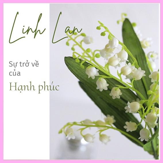 Bó 6 cành Hoa linh lan giả trang trí nhà siêu đẹp - hoa lụa , hoa giả , Han decor