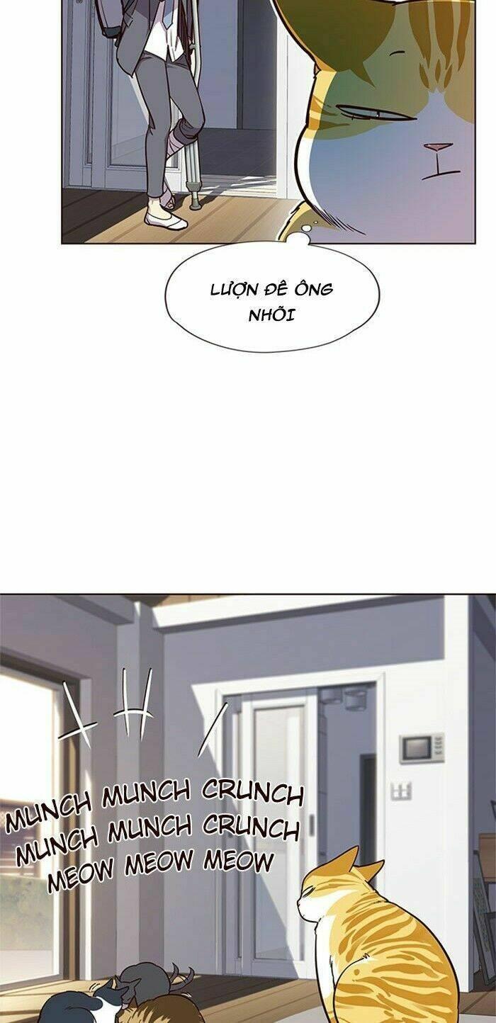biến thân thành mèo chapter 17 40