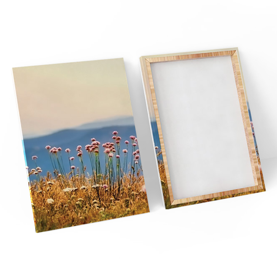 Bộ 3 Tranh Canvas Đồng Hoa Dại - W119