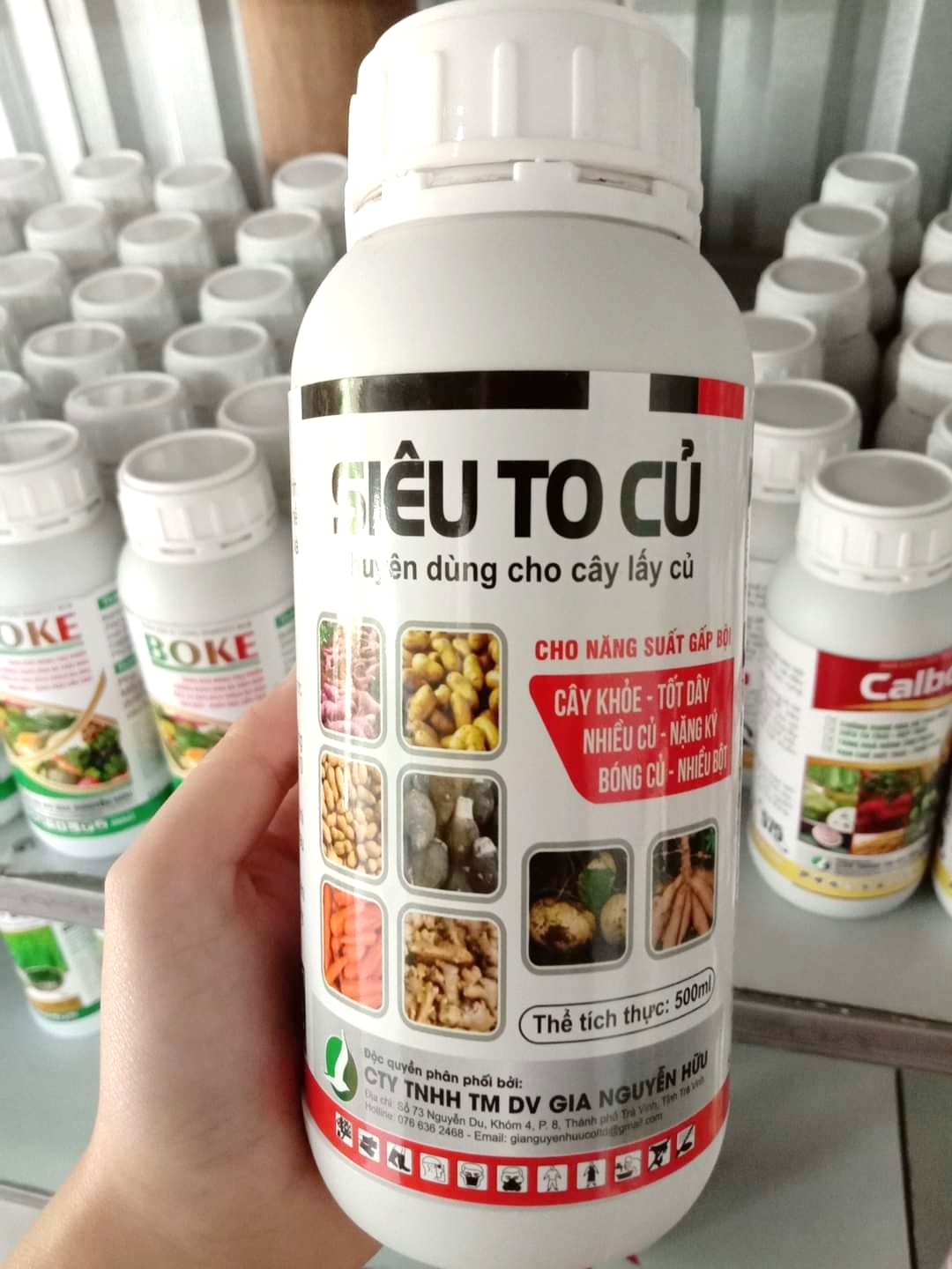 Phân bón dành cho cây lấy củ - Siêu To Củ chai 500ML - Giúp củ to, phì củ, nặng ký, chắc vỏ, không thối củ