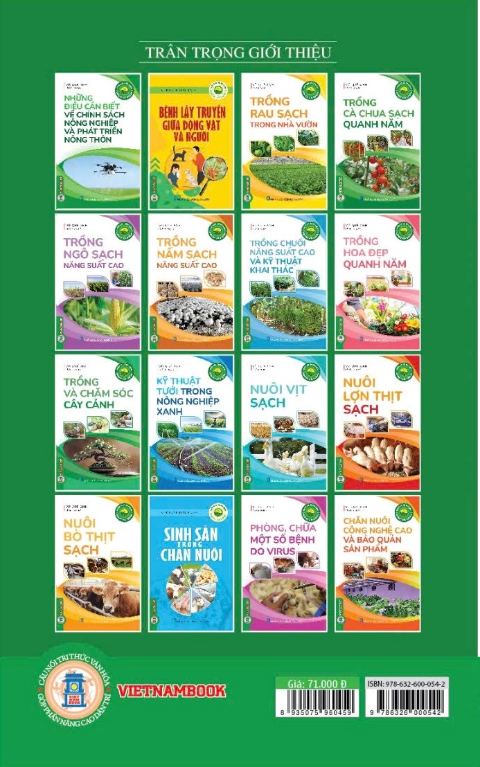 Nông Nghiệp Xanh Và Sạch - Trồng Cà Chua Sạch Quanh Năm