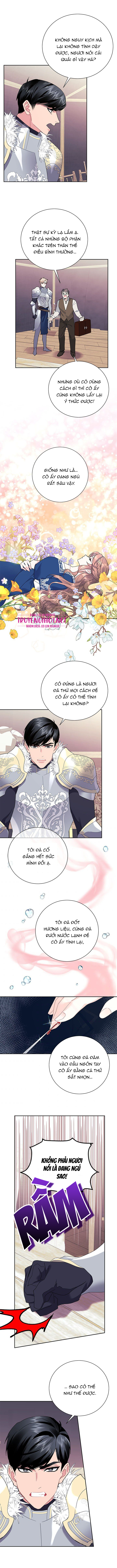 công chúa của loài chim chapter 35 6