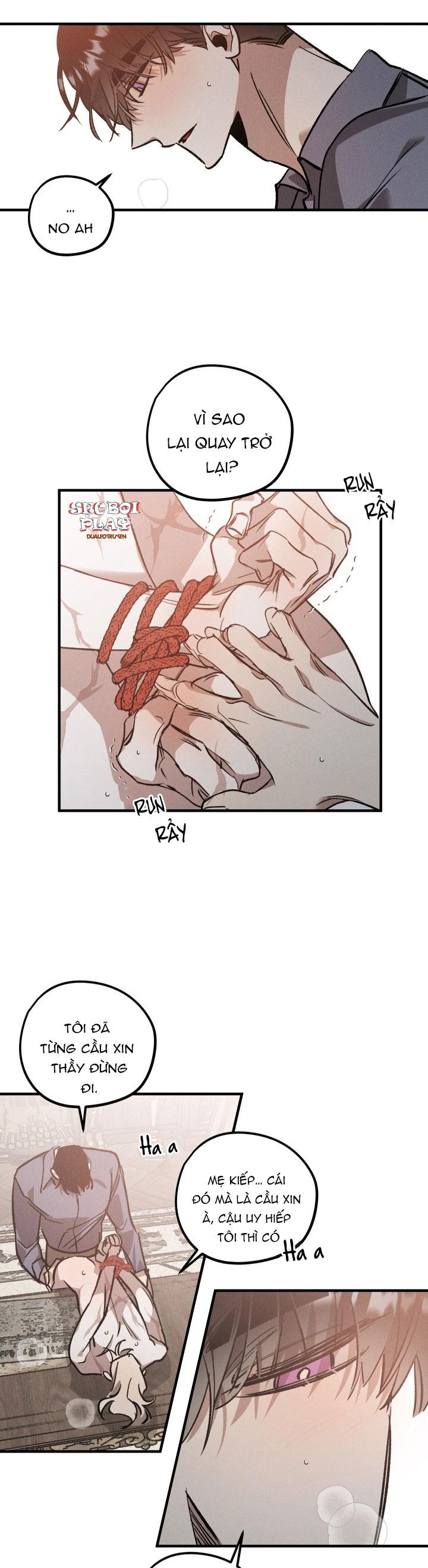 khu vườn hoa lavender chapter 5 2