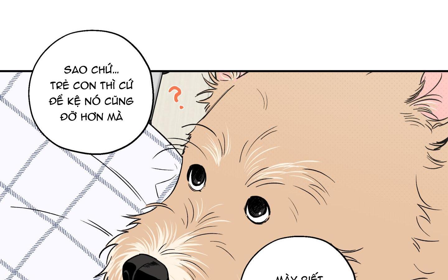 gâu gâu! chapter 49 35