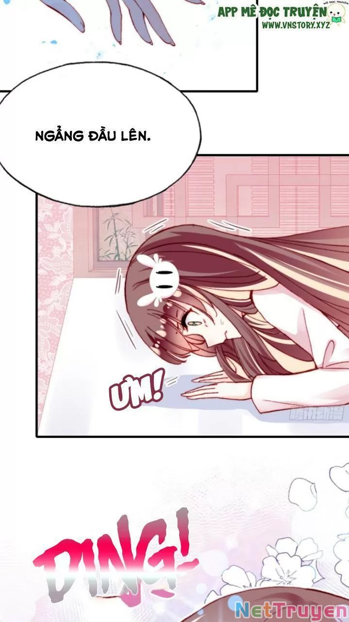 lại bị bệnh chiều chuộng quấn lấy chapter 28 24