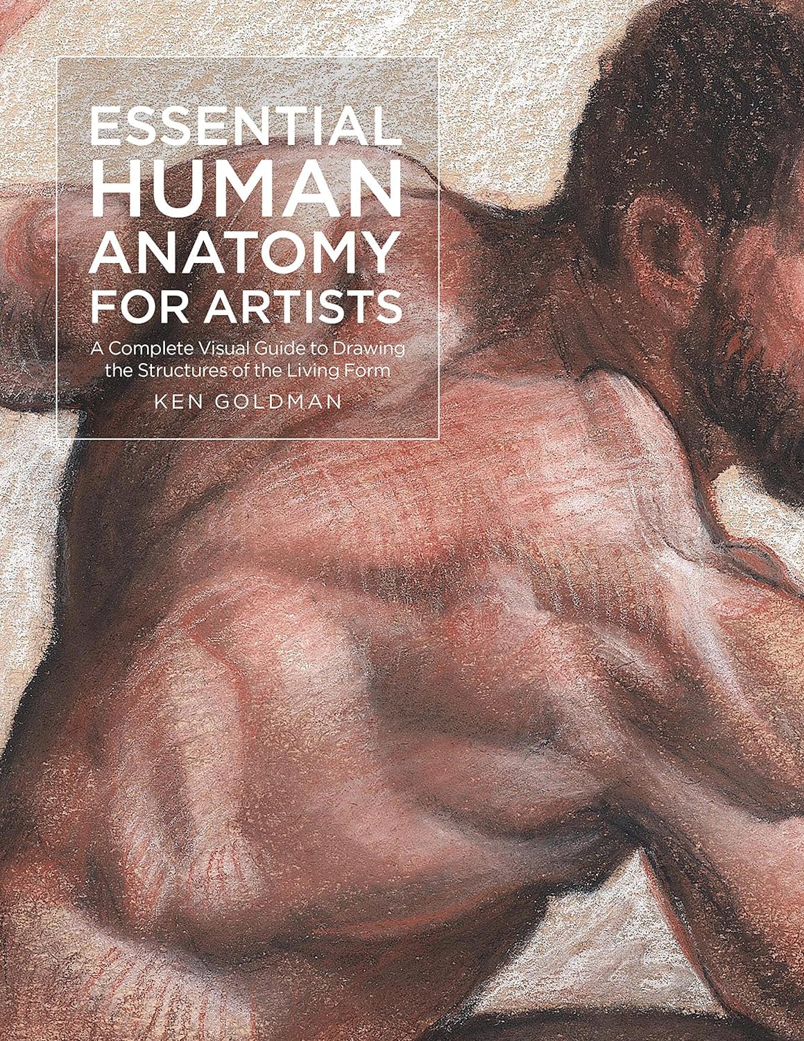 Essential Human Anatomy For Artist