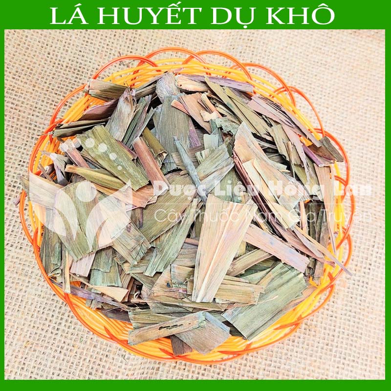 Cây huyết dụ khô sạch đóng gói 1kg