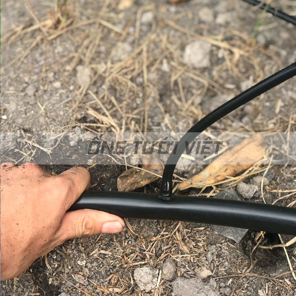 [BH 24 Tháng] Cuộn 200m ống dây tưới LDPE Nguyễn Tân 20mm - dày 1.2mm | Ống chuyên dụng cho hệ thống tưới tự động