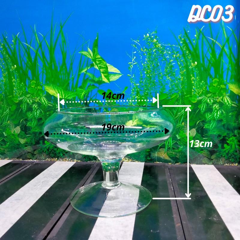 Bể cá mini để bàn , chậu thủy tinh trang trí