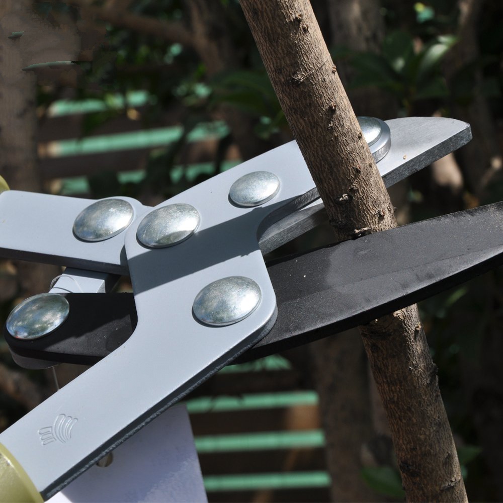 Kéo cộng lực cắt cây 1241