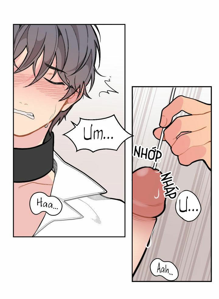 tình thú (full) chapter 8 11