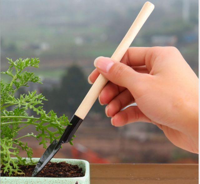 20 bộ chăm sóc cây cảnh mini