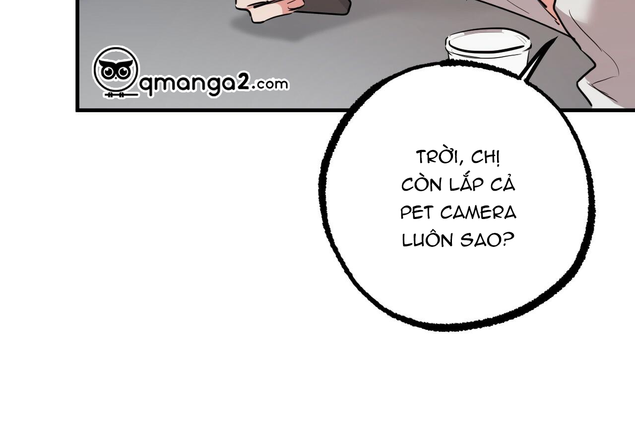 đàn thỏ của habibi chapter 28 114