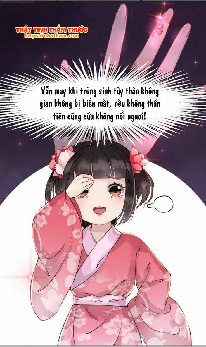 trọng sinh bá sủng nhiếp chính vương quá mạnh mẽ chapter 2 21