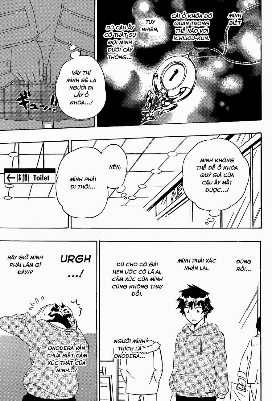 nisekoi - tình yêu giả tạo chapter 167 15