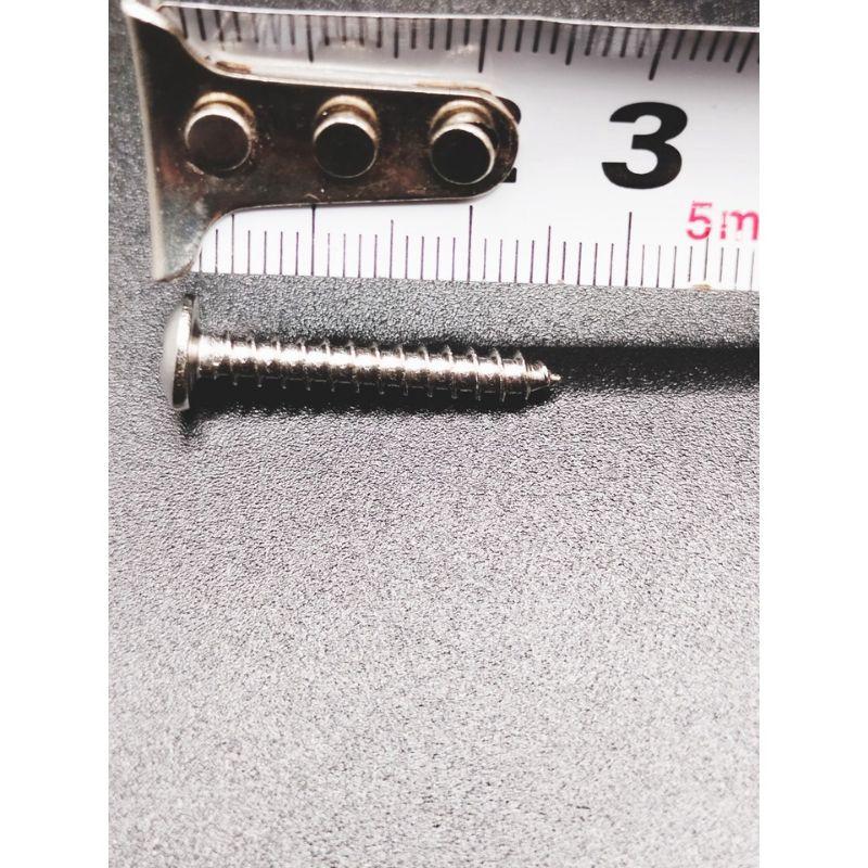 ỐC VÍT ĐẦU DÙ INOX COMBO 500G,BẮN TƯỜNG,BÊ TÔNG,GỖ,4.0×25MM, CHẮC CHẮN.