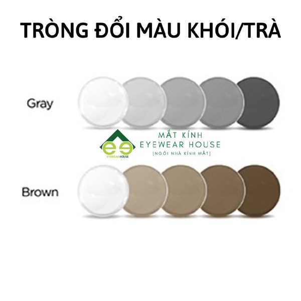 Tròng kính Essilor Crizal Easy/Rock/Sapphire/Transition