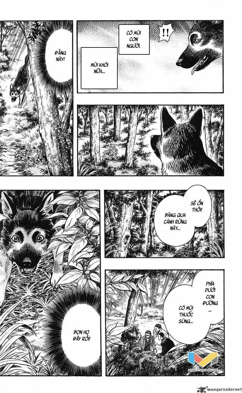 animal sense chapter 12 22