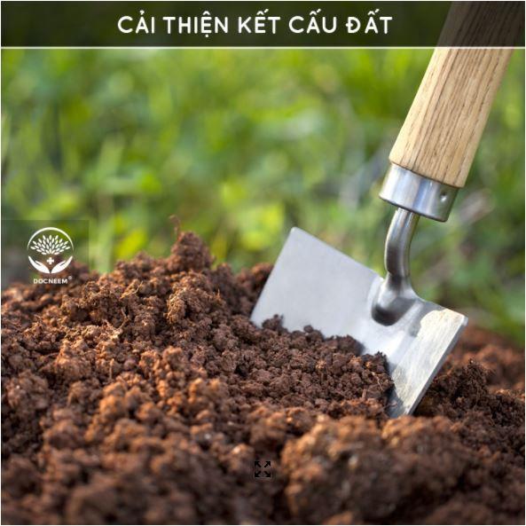 Bánh Dầu Neem - phân bón hữu cơ