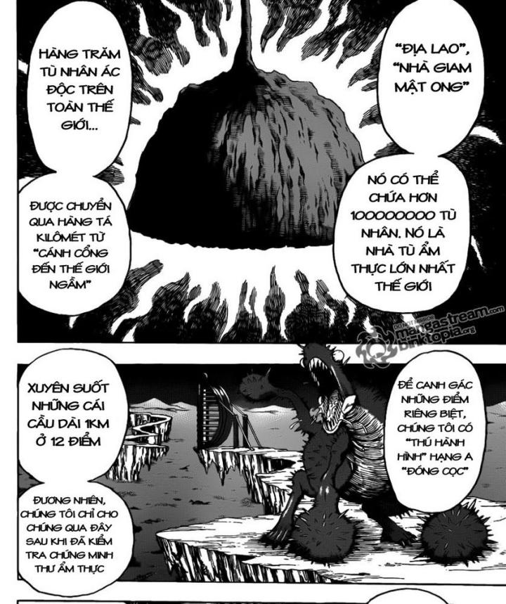 thánh tỏi sành ăn chapter 126 16