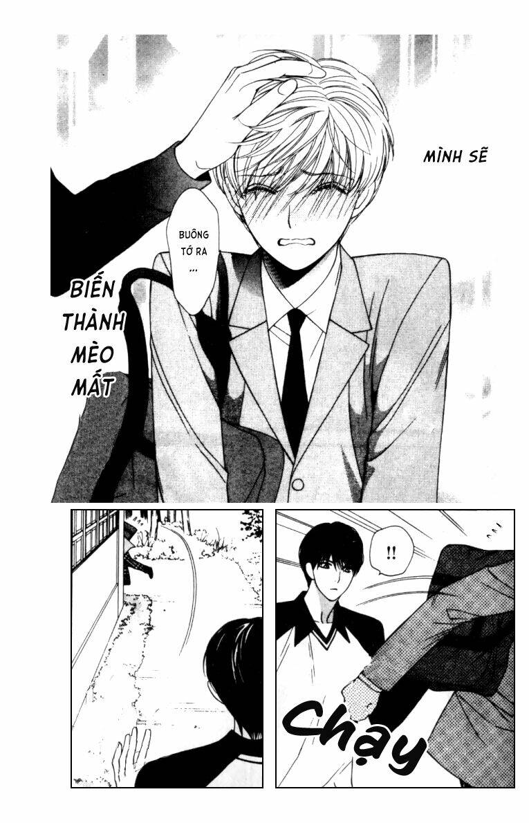 neko neko honey chapter 3 32