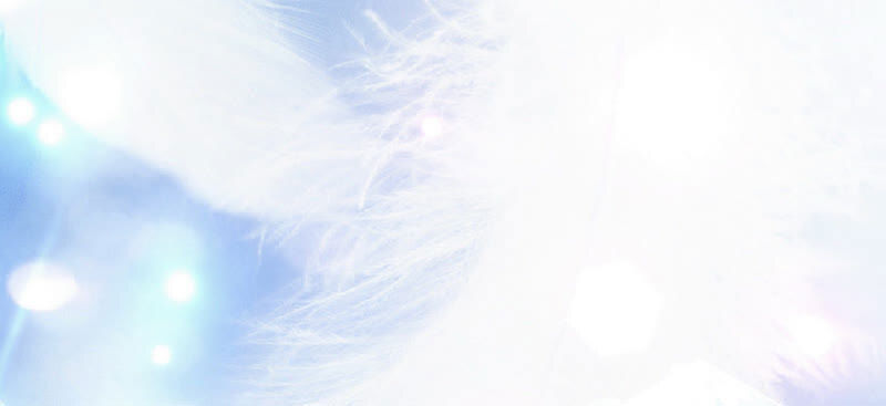 chiến lược lãng mạn của thịnh thiếu chapter 9 22