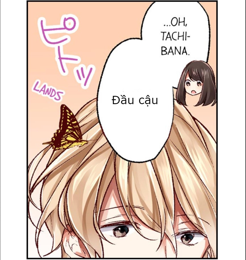 [16+] họ chắc chắn có mối quan hệ s.x chapter 2 13