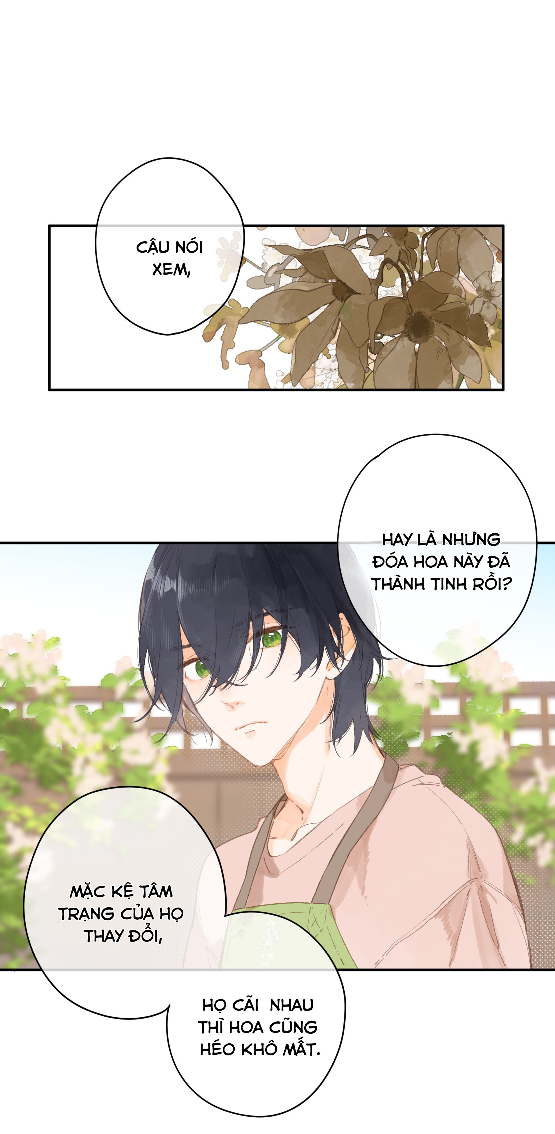 tiệm hoa hướng dương ở góc phố chapter 9 13