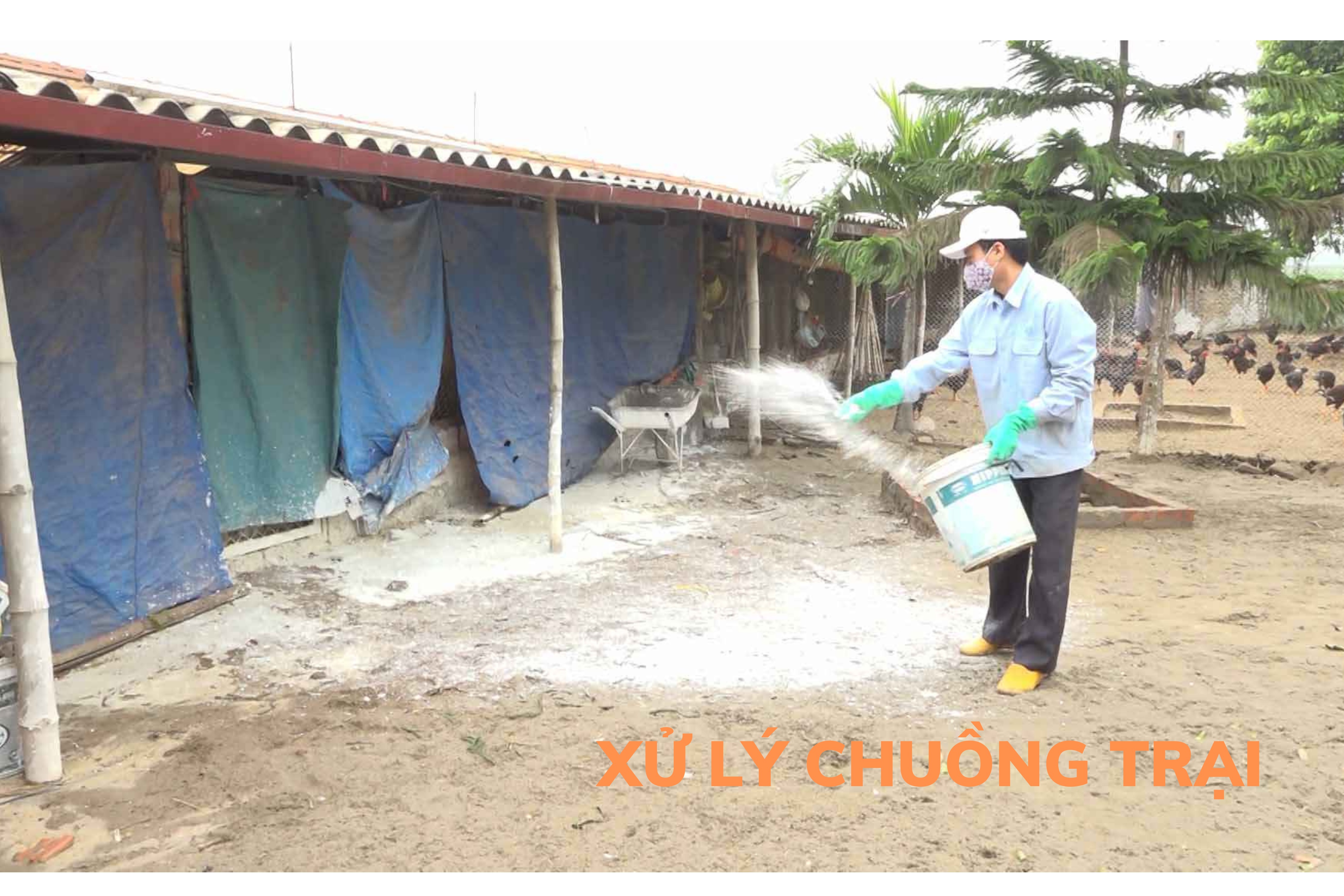 Vôi Bột Nông Nghiệp Xác Khuẩn Chuồng Trại, Khu Chăn Nuôi, Xử Lý Đất Đai (Gói 1kg)
